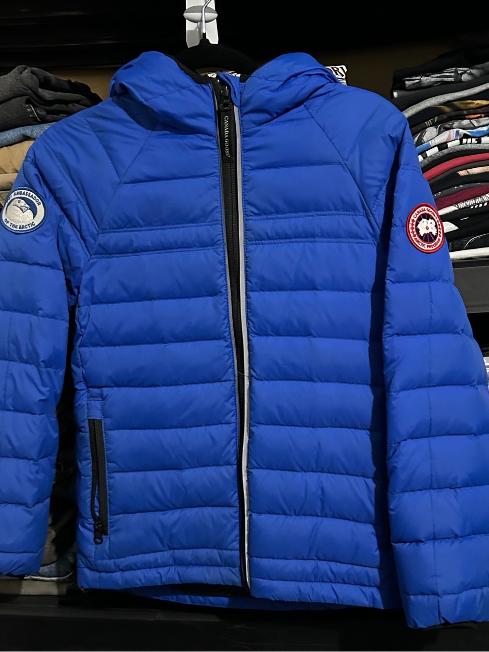 Kids Boys 10 - 12 Medium Blue Canada Goose Puffer Jacket with Hood